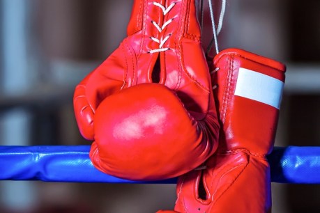 Death of Qld boxer sparks calls to ban or regulate sport