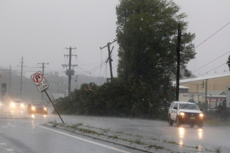 In pictures: storms batter NSW, thousands in dark