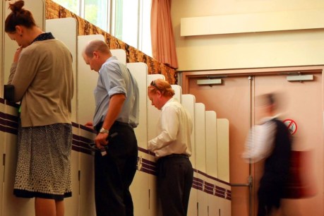 Parliamentary inquiry recommends new rules for voters