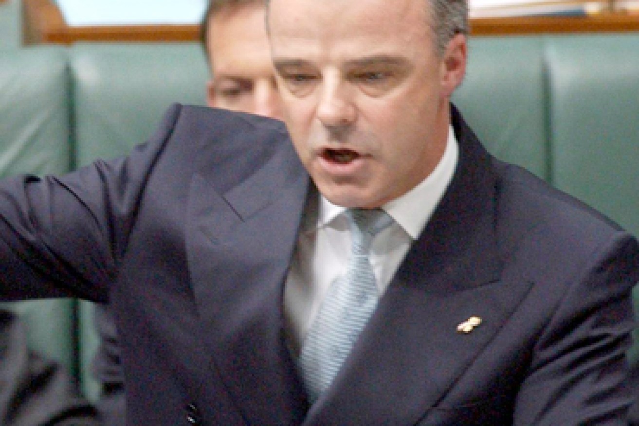 Deputy to the Liberals' then-leader Brendan Nelson, Julie Bishop retained the role under Malcolm Turnbull. 