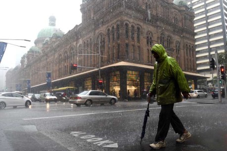 Wild storms batter Sydney