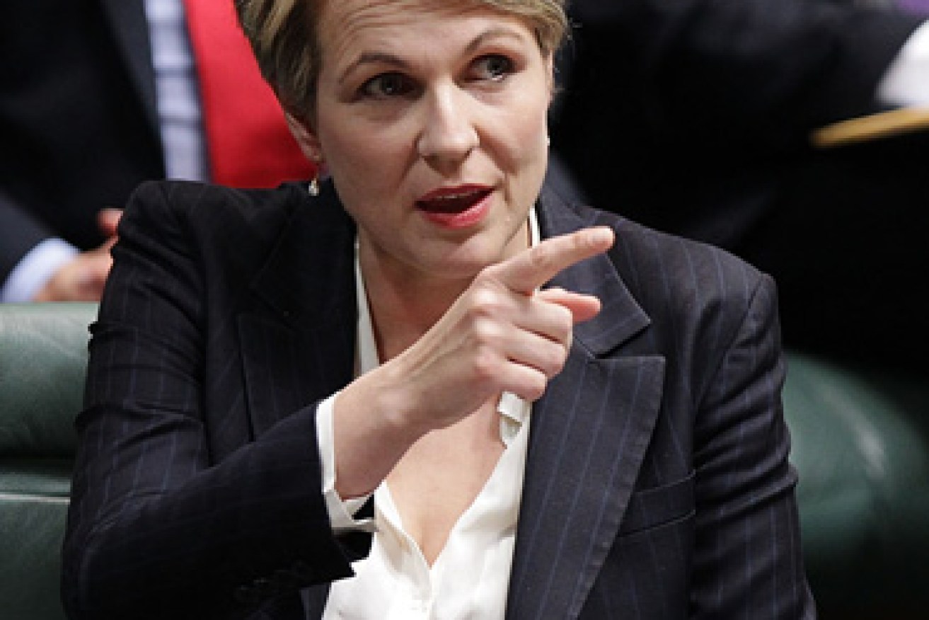 Plibersek says Liberals should apologise for hypocrisy. Photo: Getty