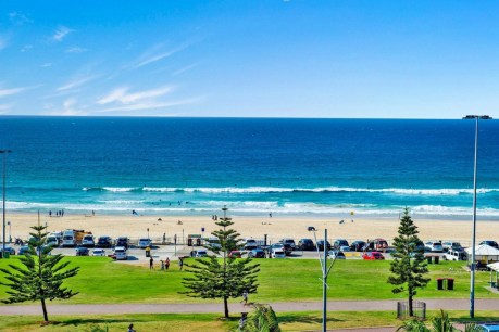 Property of the week: airy Bondi Beach apartment