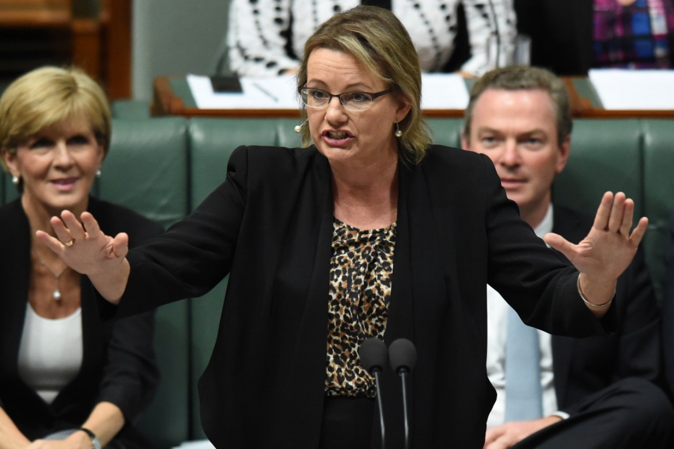Sussan Ley is under fire for her conduct while on the Gold Coast at the taxpayer's expense. 