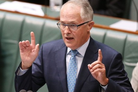 Turnbull tells govt to think like a startup