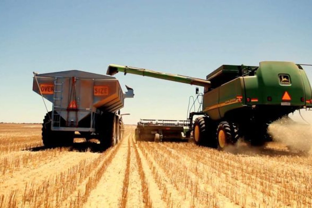 Harvest time for a Western Australian wheat crop. A study has found there is potential for wheat farmers to increase production.