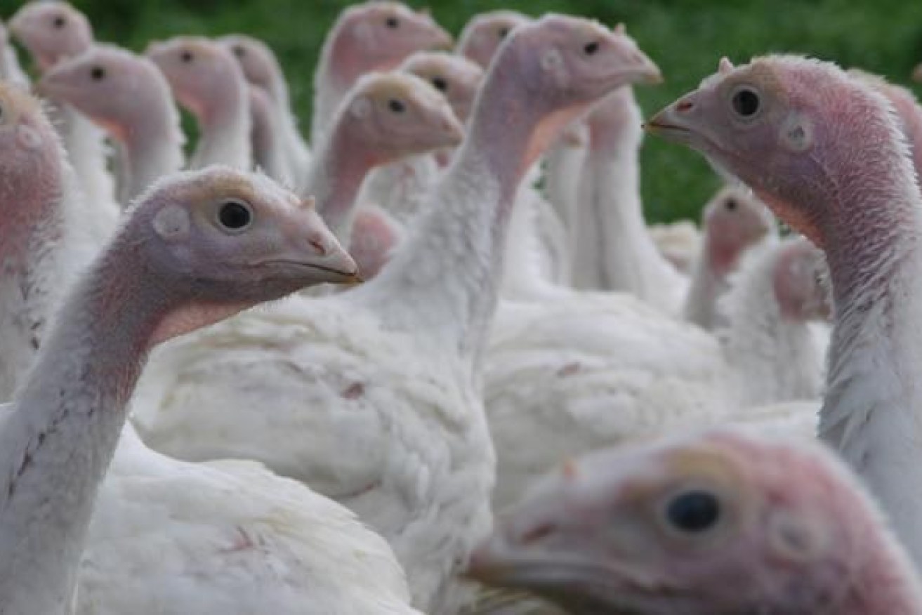 The US has recorded its first known human case of H5 bird flu but authorities say the risk is low.