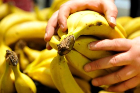 Floods hit banana prices, national economic output