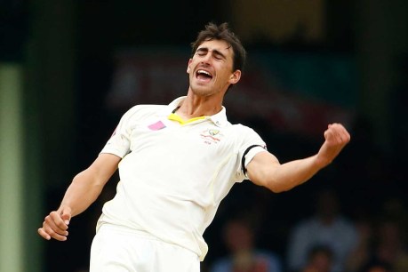 Starc to be a victim of cricket climate change