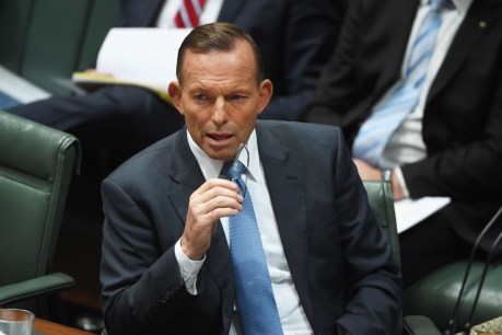 Tampon tax to stay, says Tony Abbott