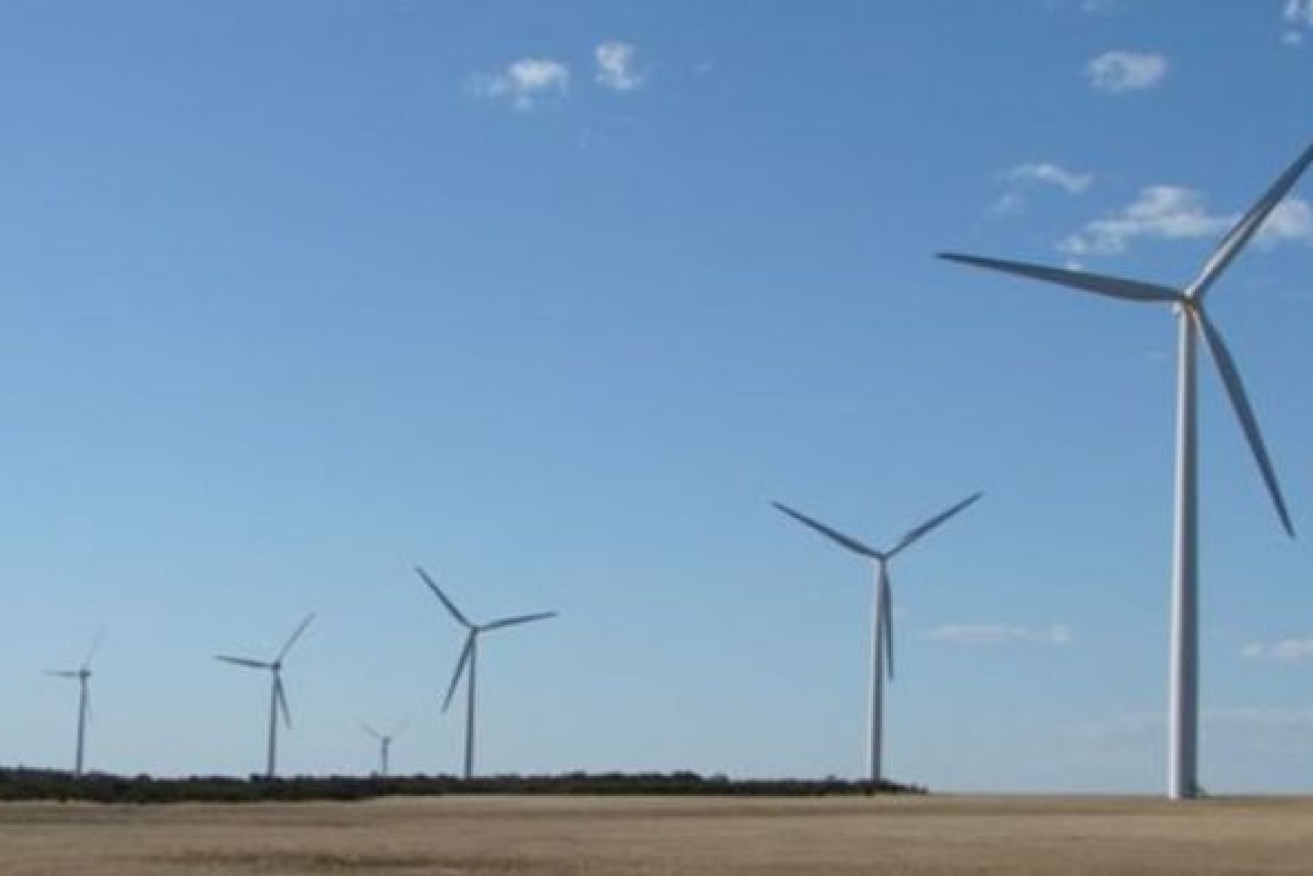 Queensland's South Burnett wind farm project is being billed as Australia's largest. 