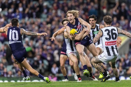 Dockers hold off gallant Magpies