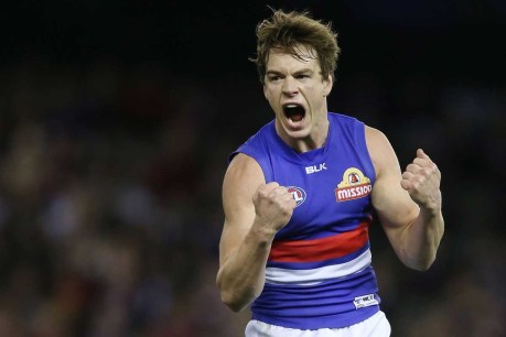 Ex-AFL star Liam Picken launches concussion legal action against Western Bulldogs