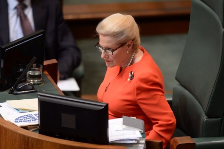 How Joe Hockey hitched a free ride on Air Bishop