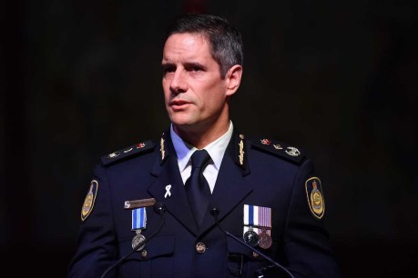 Australian Border Force boss Roman Quaedvlieg sacked