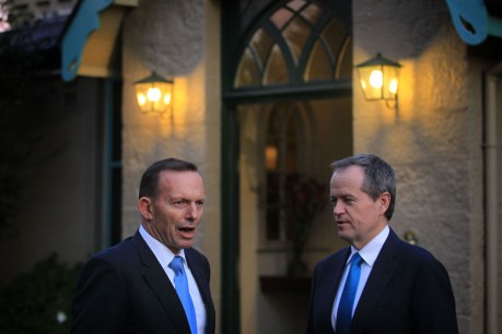 Abbott, Shorten support indigenous vote