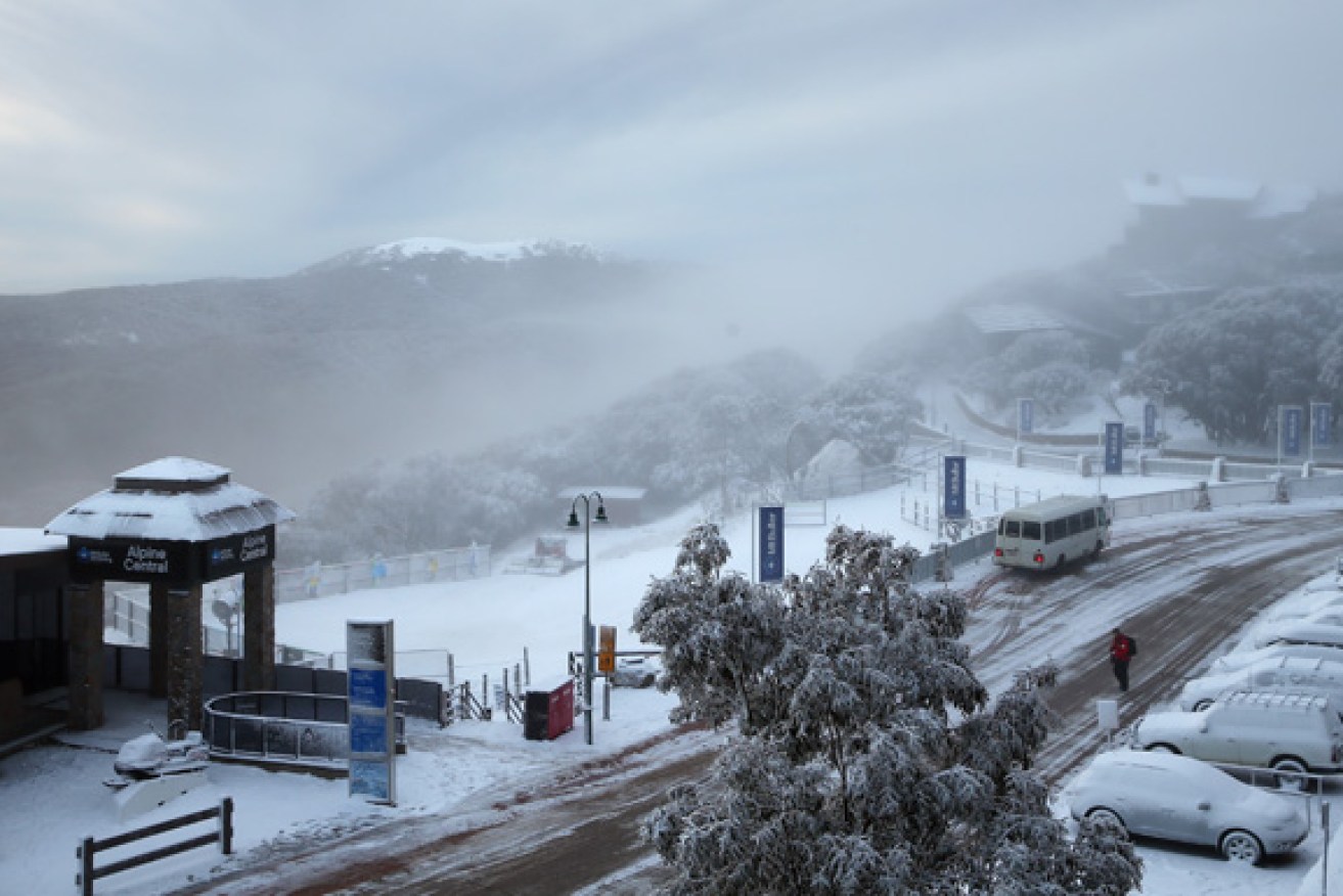 Victoria's Mt Buller has received its first fall of the 2019 season.
