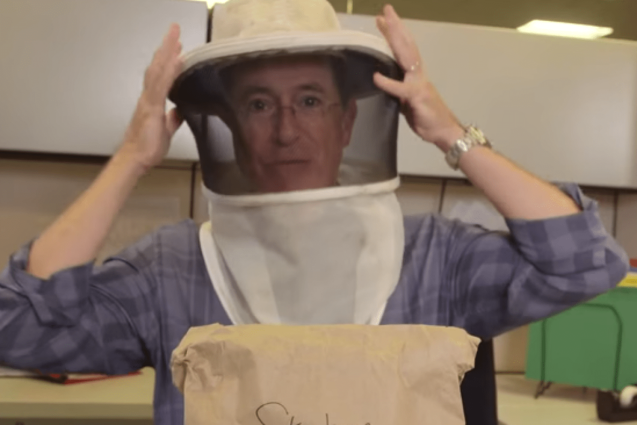 Colber starts his second video clad in a beekeeper hat. Photo: YouTube