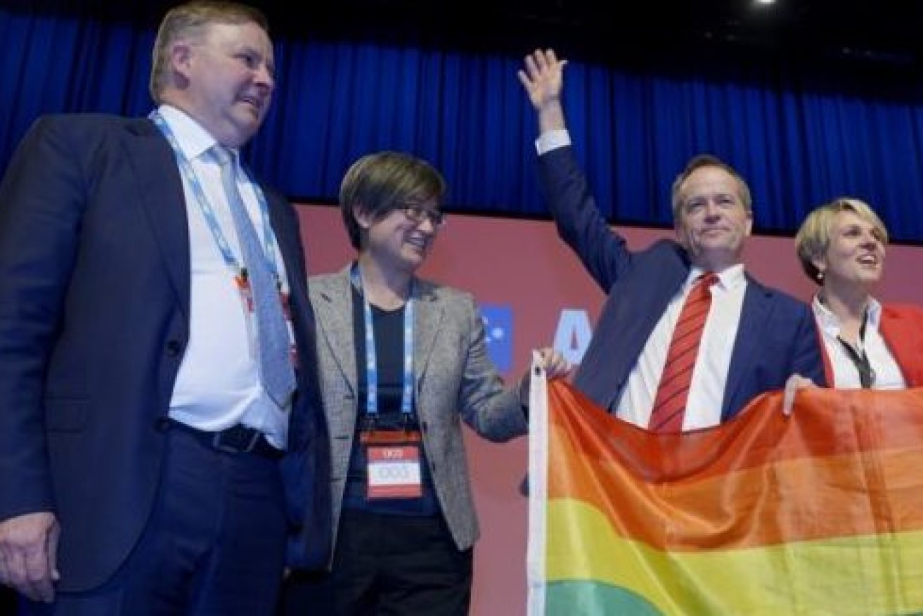 Anthony Albanese, Penny Wong, Bill Shorten and Tanya Plibersek show support for gay marriage in 2015. <i>Photo: AAP</i>i