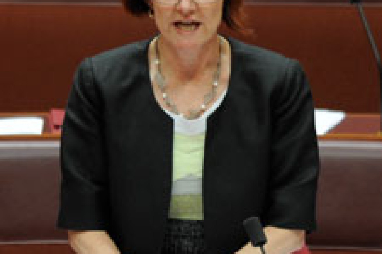 Greens Senator Rachel Siewert says people apply for welfare for a reason. 