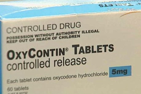 OxyContin maker pleads guilty in US