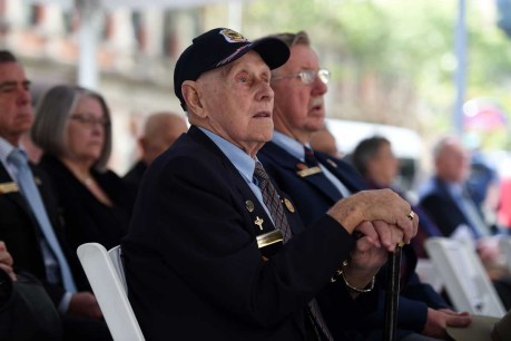Veterans remember WWII 70 years on
