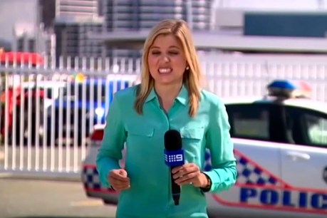 Nine reporter stung by bull ant while cameras roll
