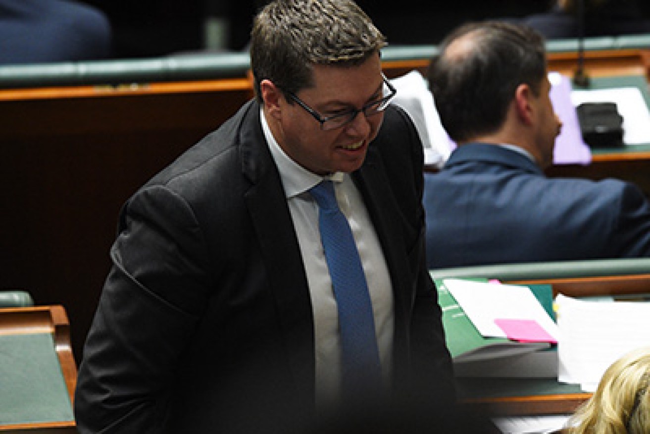 Australian Federal Labor MP Pat Conroy is ejected by the Speaker during House of Representatives Question Time at Parliament House in Canberra, Thursday, Aug. 13, 2015. (AAP Image/Mick Tsikas) NO ARCHIVING