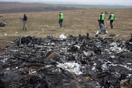 Final MH17 report due in Oct