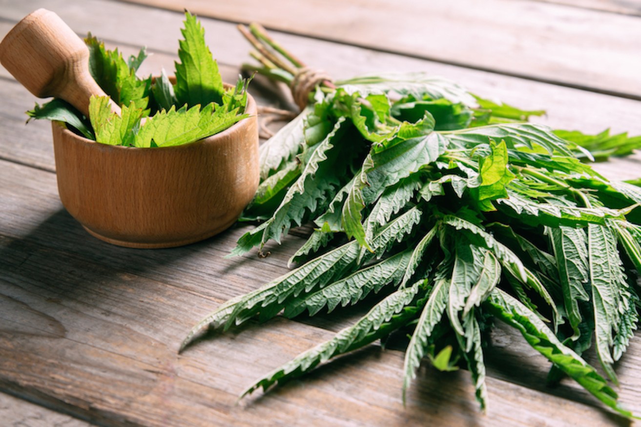 Nettles might not seem like an obvious choice, but they're an excellent Spring ingredient. Photo: Shutterstock