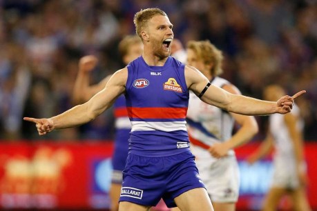 The man who built the Western Bulldogs