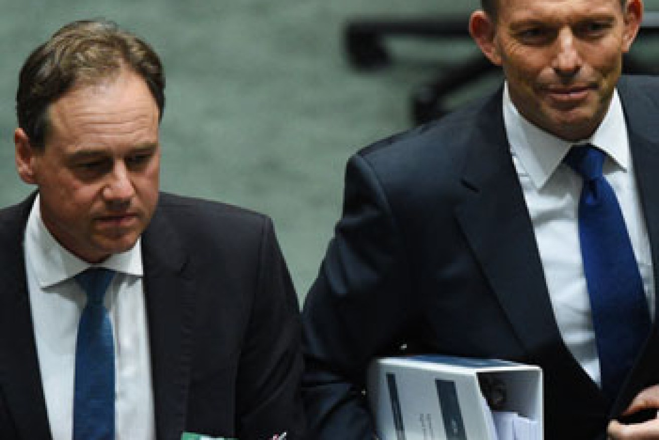 Environment minister Greg Hunt announced the target while Tony Abbott was still PM. Mr Turnbull has not amended it. AAP