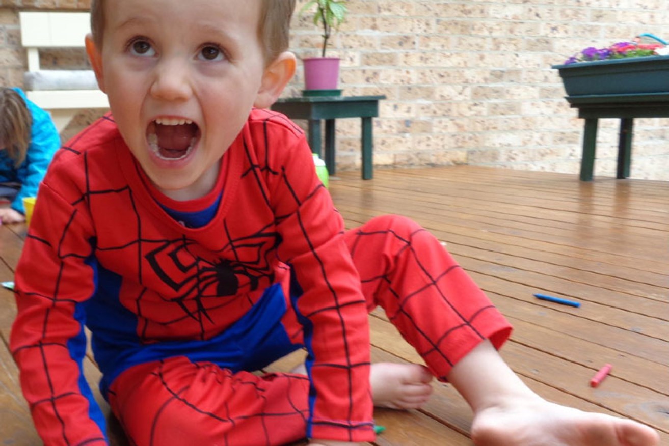 The search for NSW boy William Tyrrell, who went missing on this day eight years ago, continues.