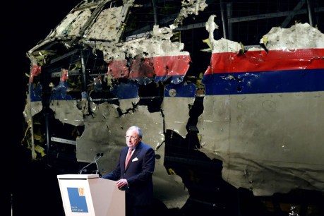 The terrifying final moments of flight MH17