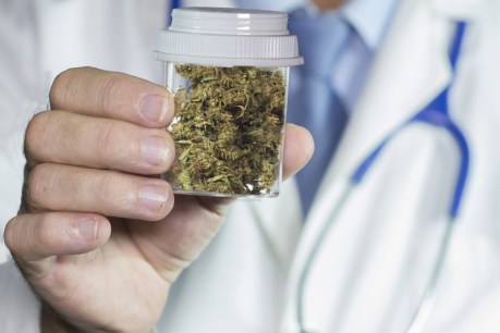 Medicinal cannabis set for Vic