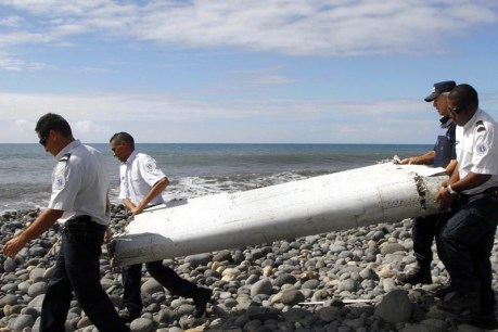 MH370 search &#8216;all down to money&#8217;, says expert