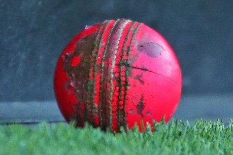 Cricket Australia sticks to its guns on pink ball