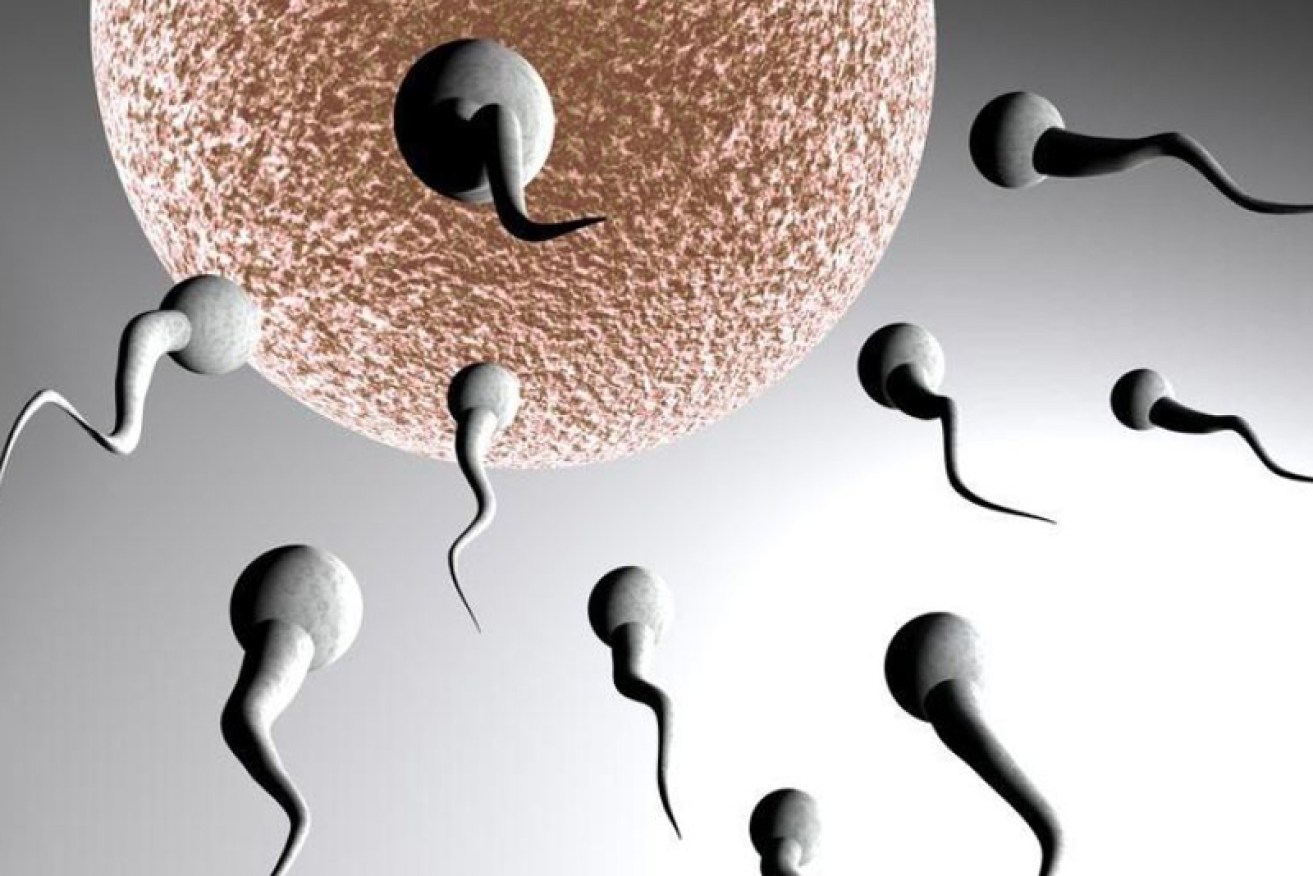 The prodigious sperm producer has been told there will be no more donations. <i>Photo: AAP</i>