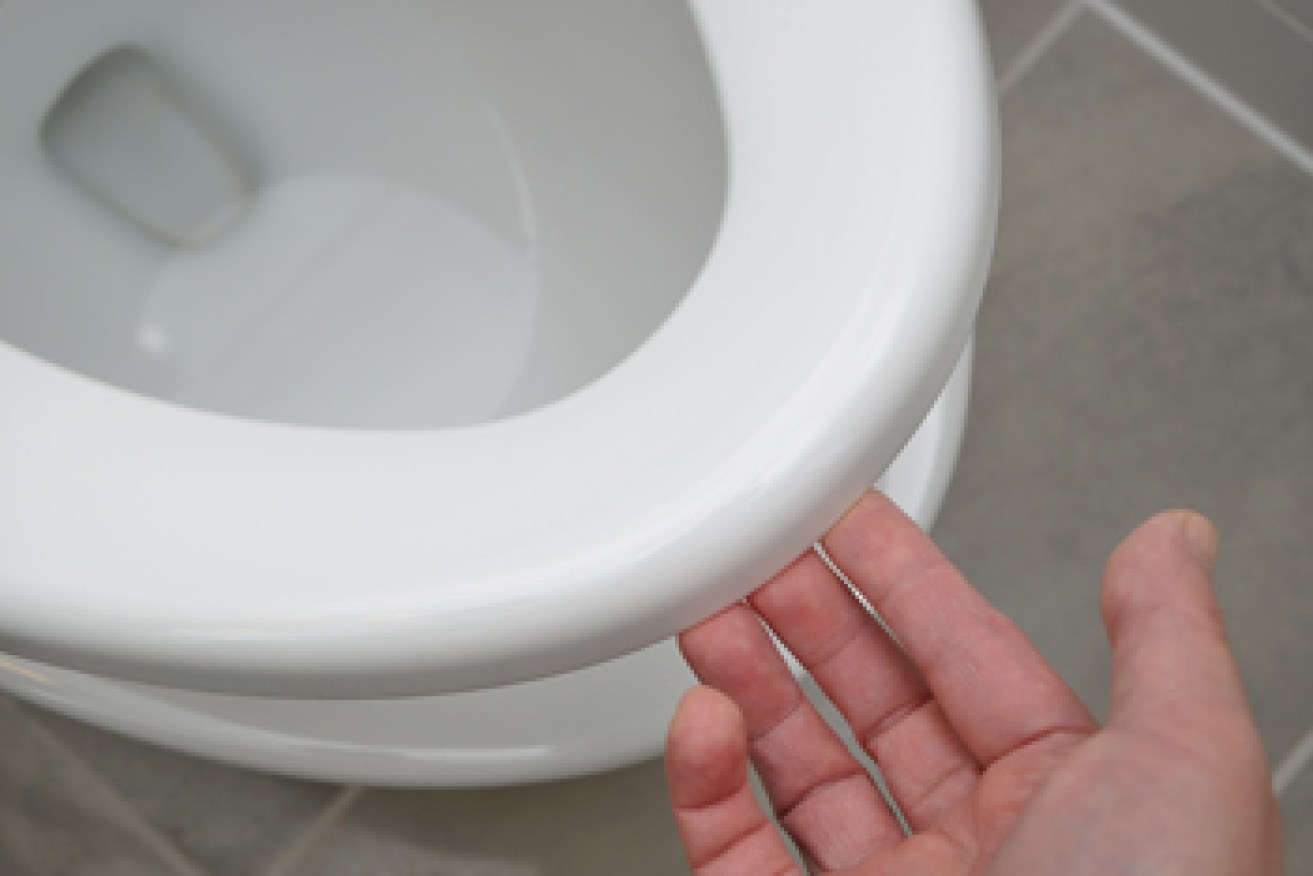 If the seat's down at work, it's probably the men's room. Photo: Shutterstock