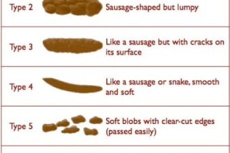 Nine things you didn&#8217;t know about poo