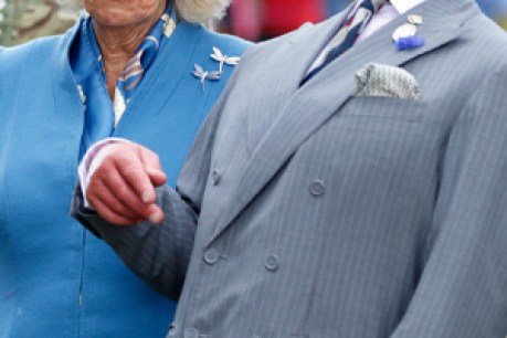 Thirty saucy facts about Charles and Camilla