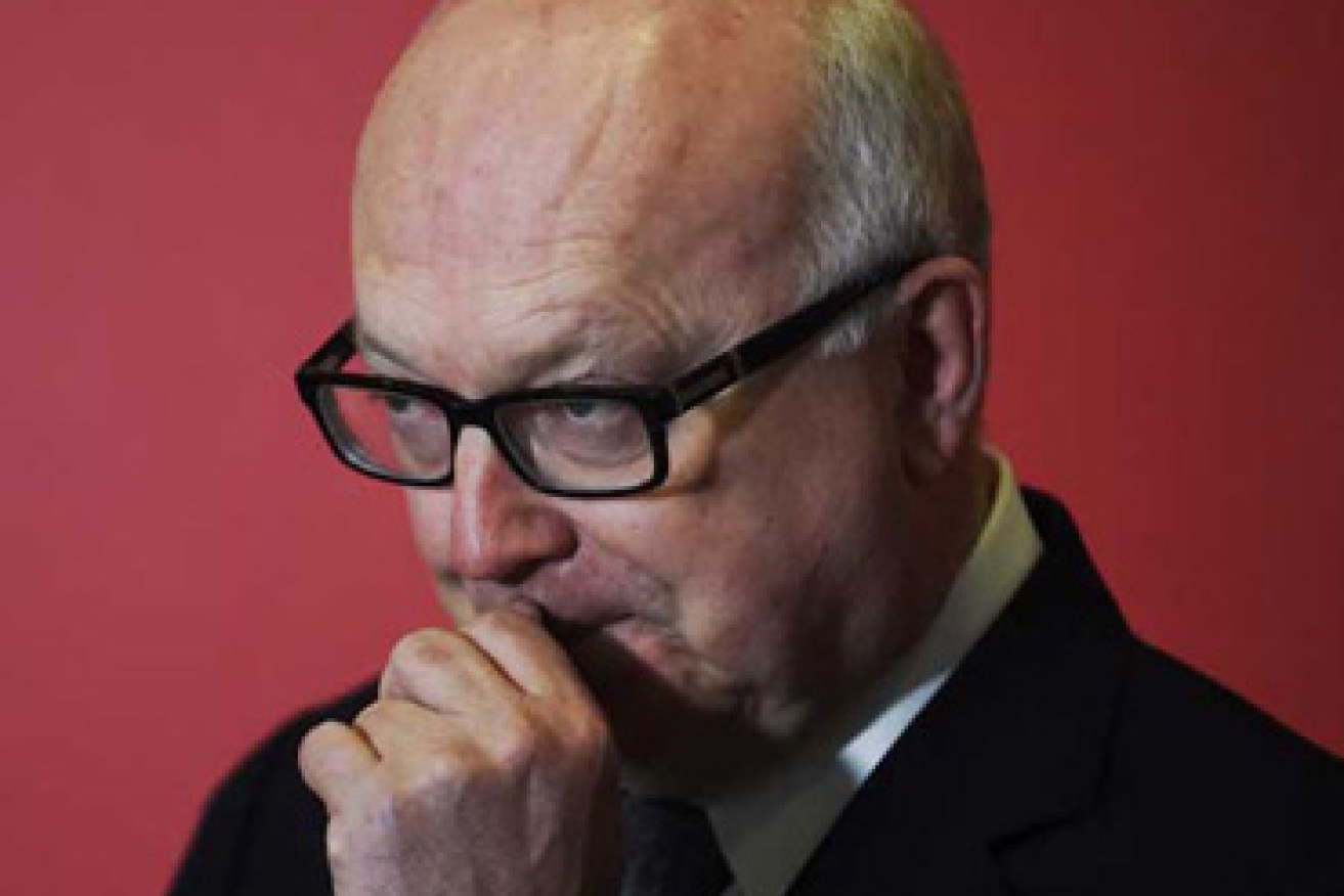 Mr Brandis' office refuses to let Dreyfus have a peak at the diary. Photo: AAP