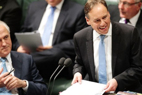Australia on track for 2020 climate target: Hunt