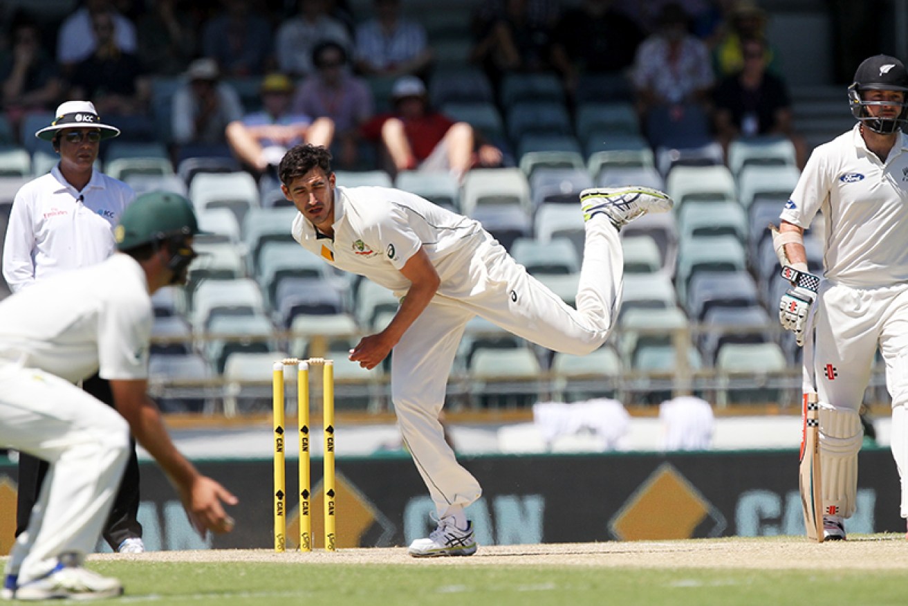 Mitchell Stark has slowly warmed up to the pink ball. Photo: AAP