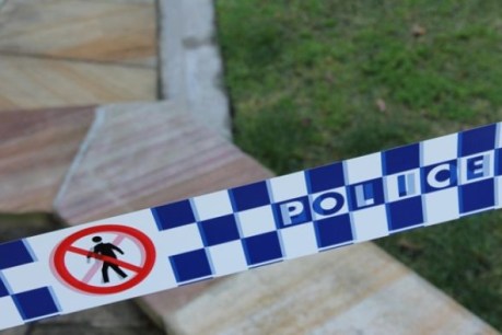 Doctors fail to save Sydney man stabbed in home invasion