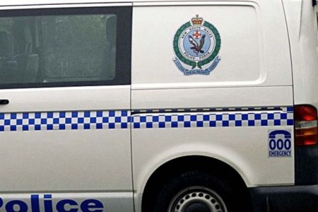 Woman stabbed in chest, hand during Sydney robbery