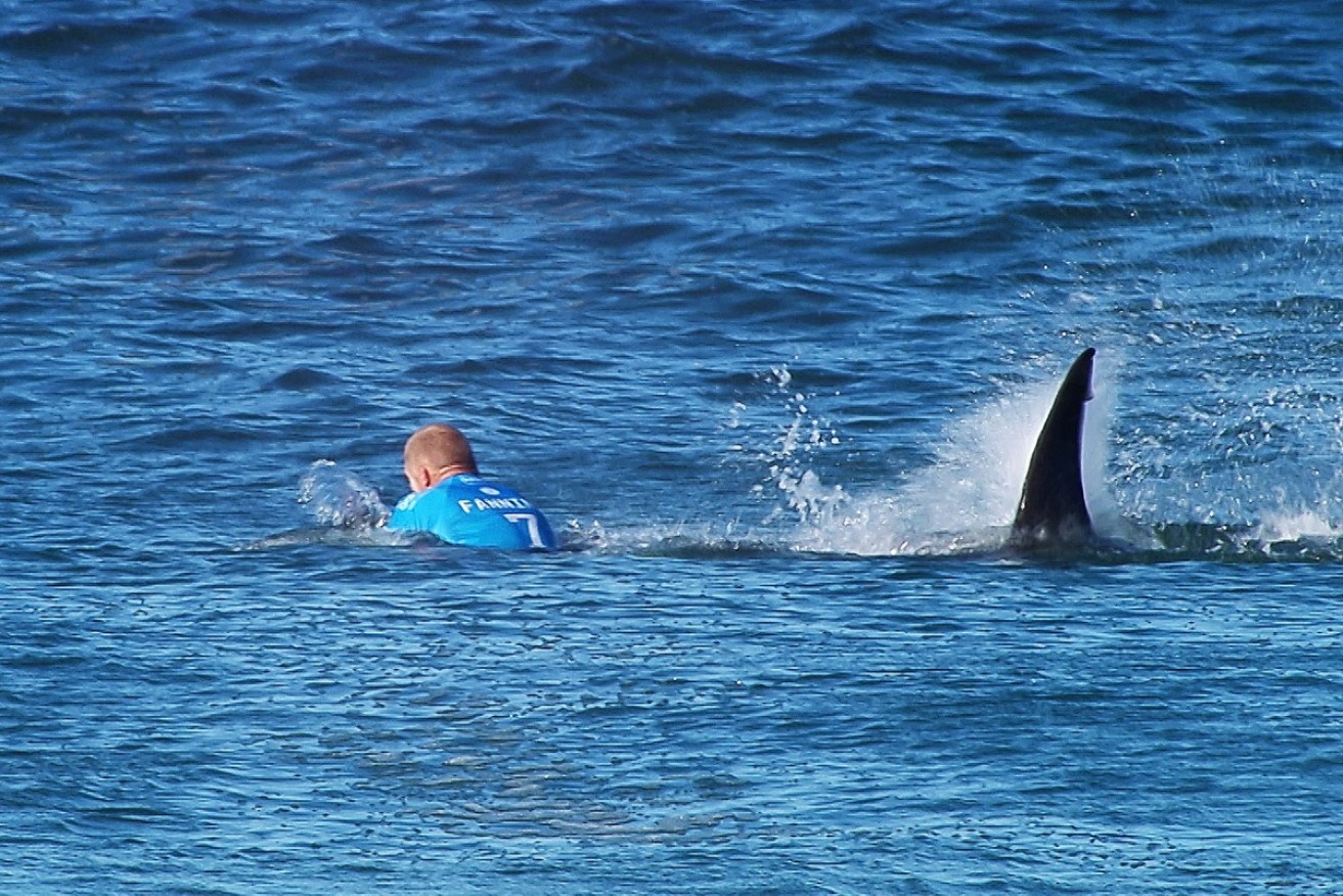 Australian Mick Fanning’s encounter is the most infamous of the surfing world’s shark sightings. 