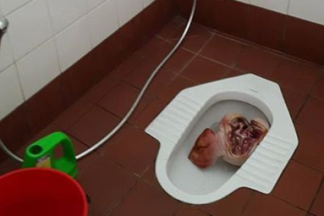 Pig&#8217;s head found in a toilet near WA mosque