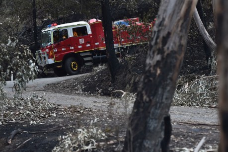New fire threat looms, Wye River locals vow to rebuild