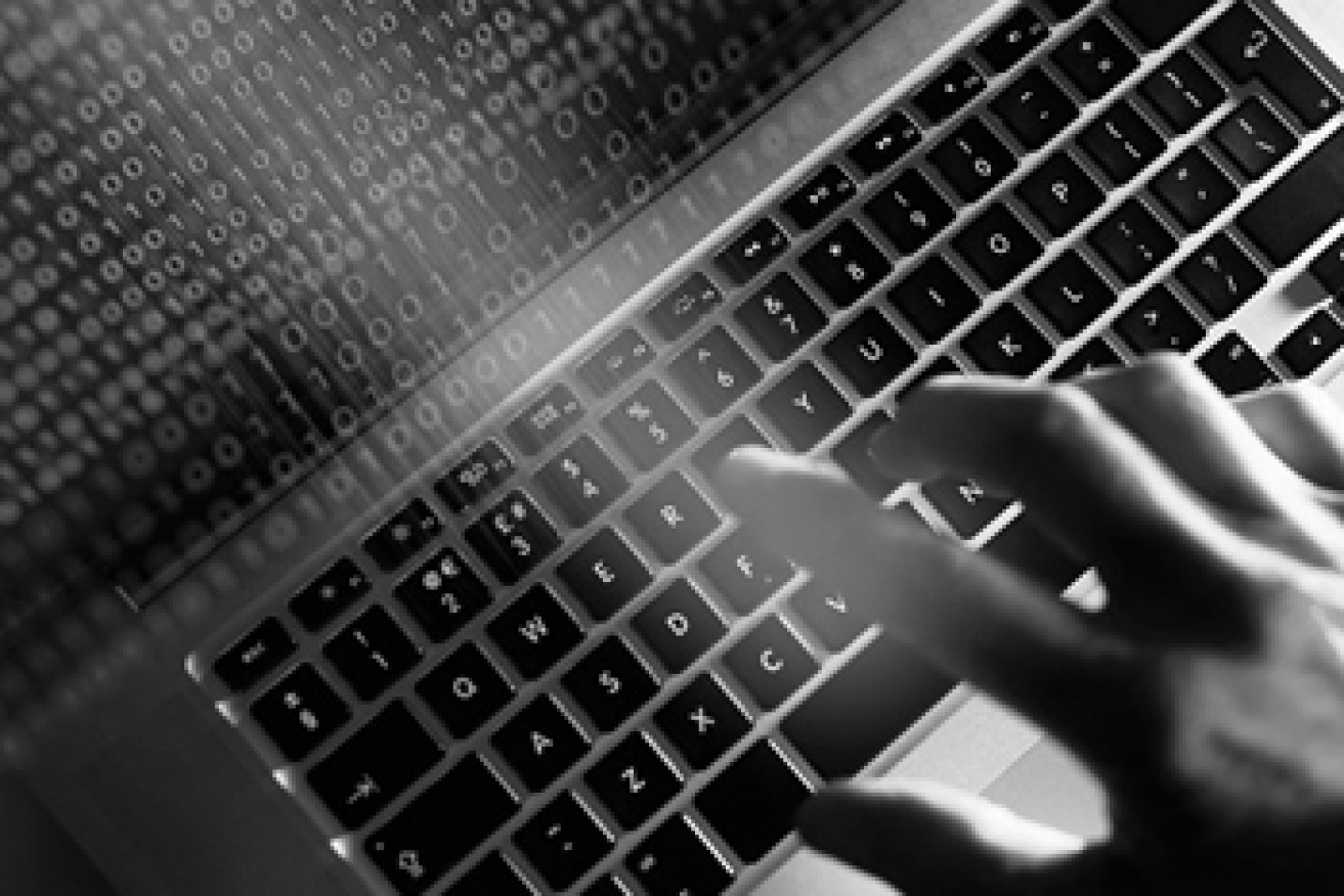 Australia needs to bolster its cyber crime fighting abilities, experts say. 